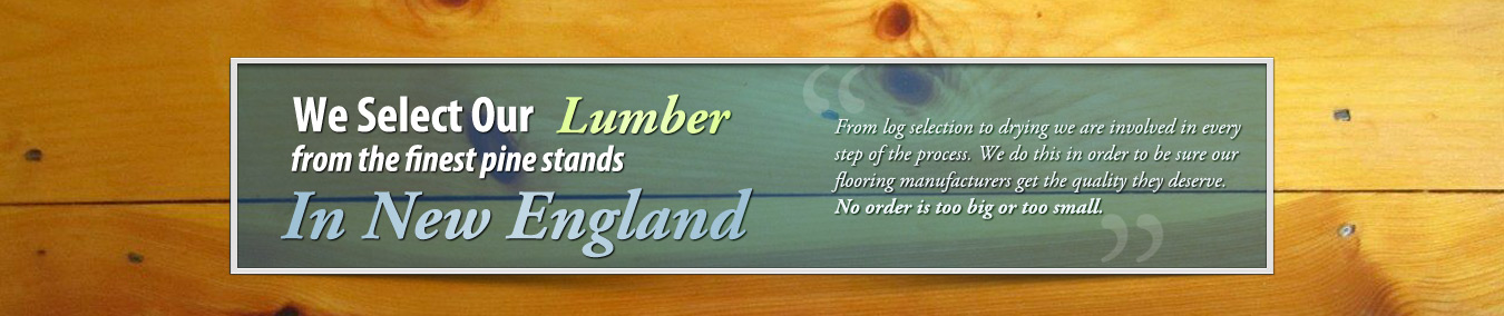 quabbin timber banner
