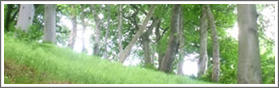 conservation pic